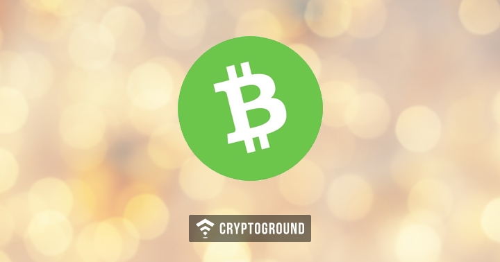 1 Year Of Bitcoin Cash Bch Supporters Celebrate Independence Day - 